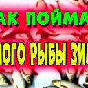  Dmitry,  , 50  -  30  2021    