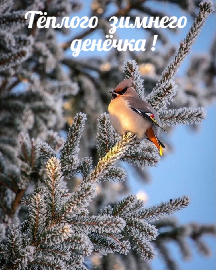   ,    . - 19  2020  22:58 - 7