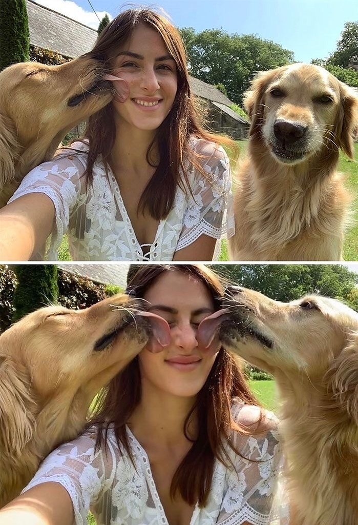   ,   . - 3