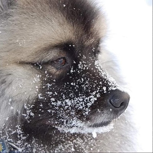   ,   - ... B   -  )  ...