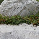 ���� ������, �������� - ��������� 21 ������� 2020 � ������ ���� ����������