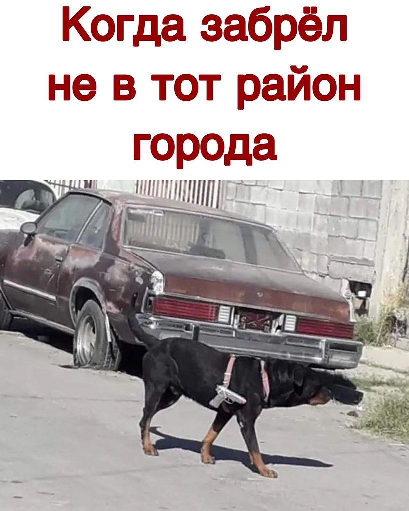  - 20  2020  19:51