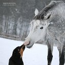 ���� ������, ������������ - ��������� 24 �������� 2020 � ������ ���� � ���