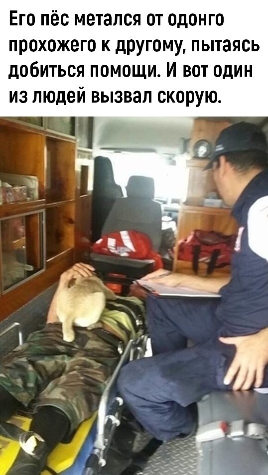    ..... - 2