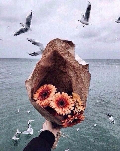    ,   ,   ,    ...
