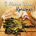 ���� ����, ���������, 46 ��� - ��������� 29 ������ 2020 � ������ ���� ����������