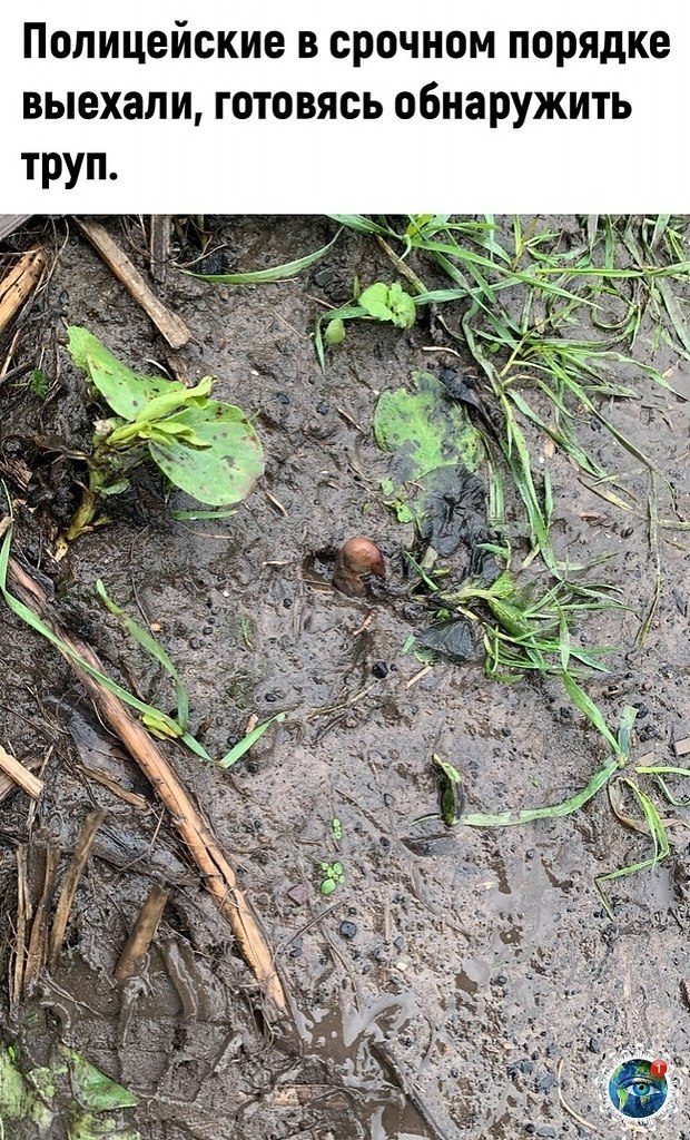 c�� �o���c���e�� ce�� �����... ������� - 2