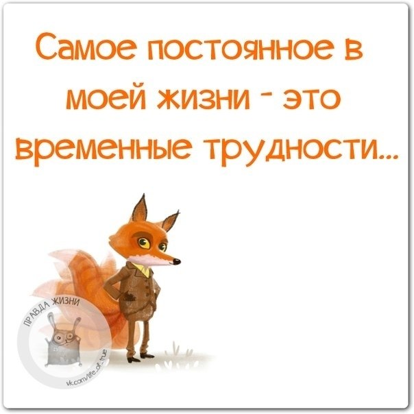   - 15  2021  00:38