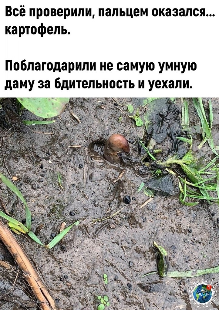 c�� �o���c���e�� ce�� �����... ������� - 3