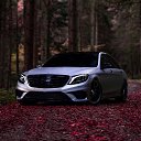 ���� ���, ������ - ��������� 5 �������� 2020 � ������ ������ ��������