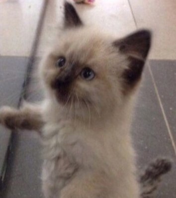       - 1  2021  21:36 - 4