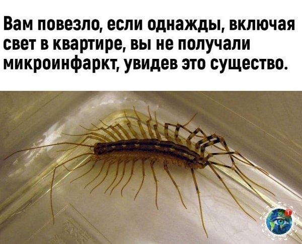 e    apaa. 