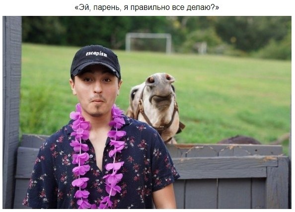 , oo      
