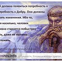 ���� Lion, ��������� - ��������� 6 ������� 2020 � ������ ������ ��������