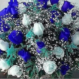 ����, ��������