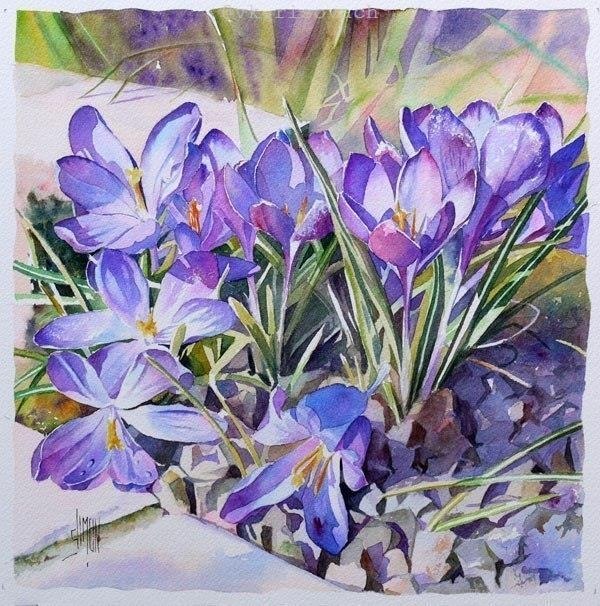 ������� ���������. ��������� ����