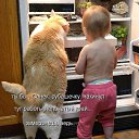 ���� ���������, �����������, 62 ���� - ��������� 13 ������� 2021 � ������ ������ ��������