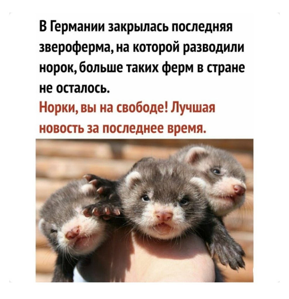   !