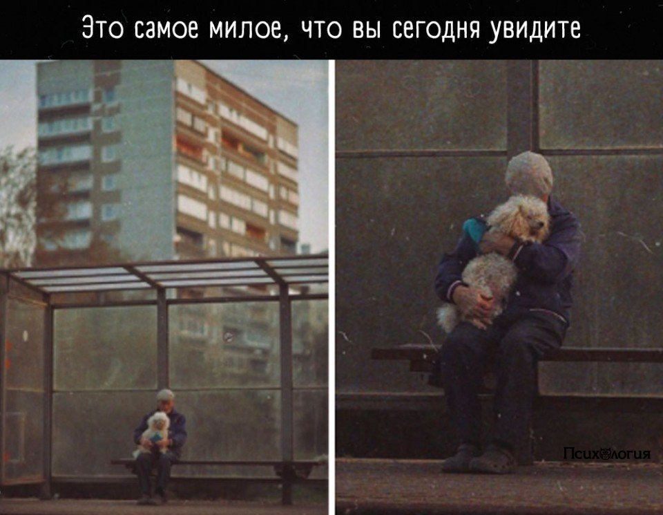      ,         ...