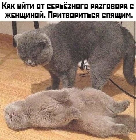       - 9  2021  11:26