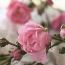 ���� ��������, ������ - ��������� 6 ������� 2020 � ������ ������ ��������