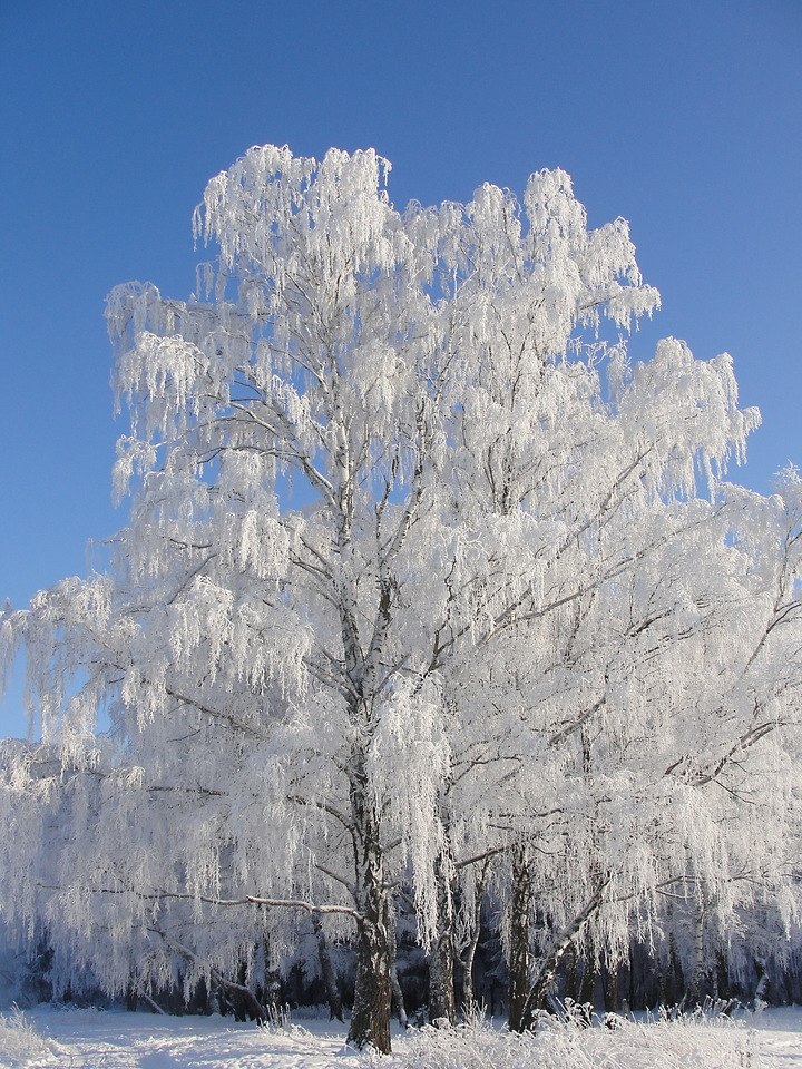   ,    . - 11  2020  22:31