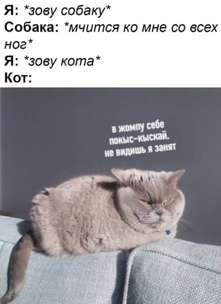  - 1  2020  06:38