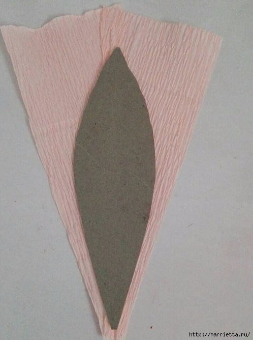 ����� - 4