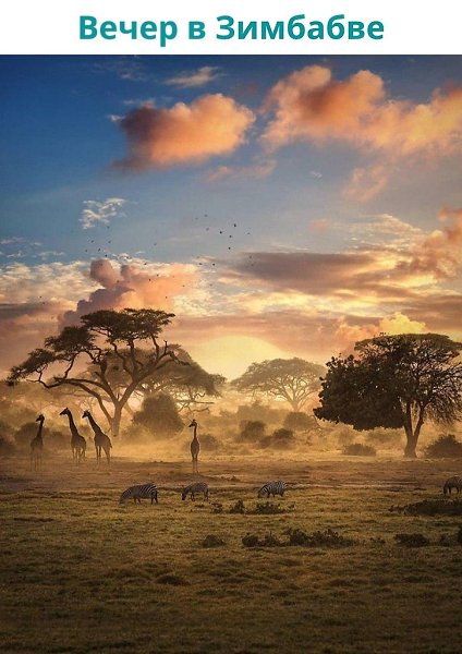 LIFE -  - 5  2020  19:07