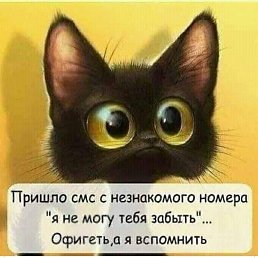 , , 54 