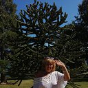 ���� �����, �������, 64 ���� - ��������� 24 �������� 2020 � ������ ���� ����������