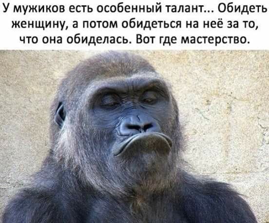  - 25  2020  02:40