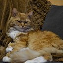 ���� ������, �������, 37 ��� - ��������� 16 ������� 2021 � ������ ������ ��������