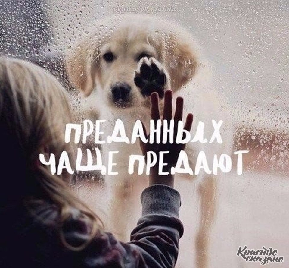   . . . - 10  2021  18:38
