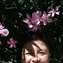 ���� ����, ���������, 48 ��� - ��������� 29 ������� 2020 � ������ ���� ����������