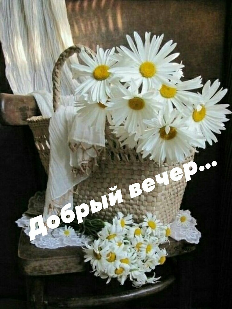   ,    . - 28  2021  18:08 - 6
