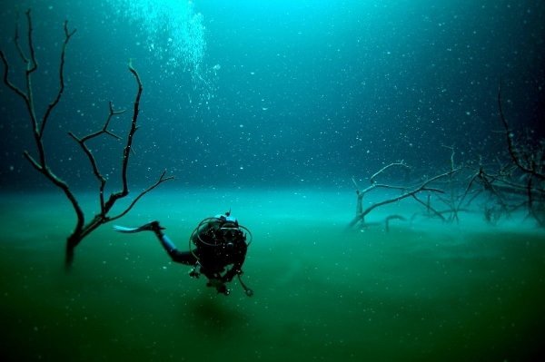 На дне Черного моря обнаружена река. Да, реки бывают и под водой - 5