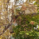 ���� �����, ������, 48 ��� - ��������� 3 ������� 2020 � ������ ������ 2020�