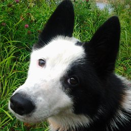 ������, ������, 40 ���