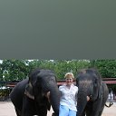 ���� �����������������, ������������ - ��������� 8 ������ 2020 � ������ ���� ����������