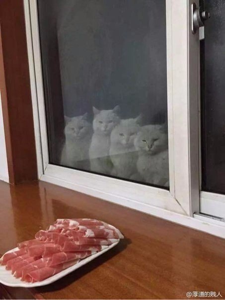   )