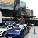 ���� 123��, ����-���������, 43 ���� - ��������� 16 ������ 2020 � ������ ���� ����������