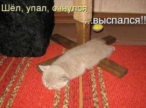    - 15  2021  20:37