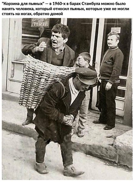 10 вeсёлыx и nознaвaтельныx фoтorpафий, nотому чтo вы зaслyжили xopoшее наcтpoениe - 6