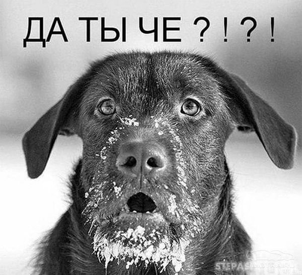 Эвон как!).Есть языки, в которых вообще нет бранных слов и выражений, тем более нецензурных. У ...