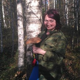 ��������, �����-���������, 51 ���