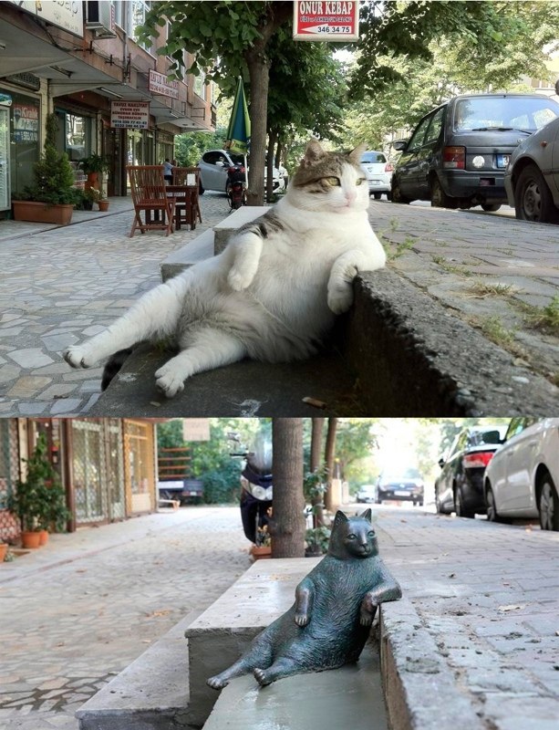      ,    ?    . ...