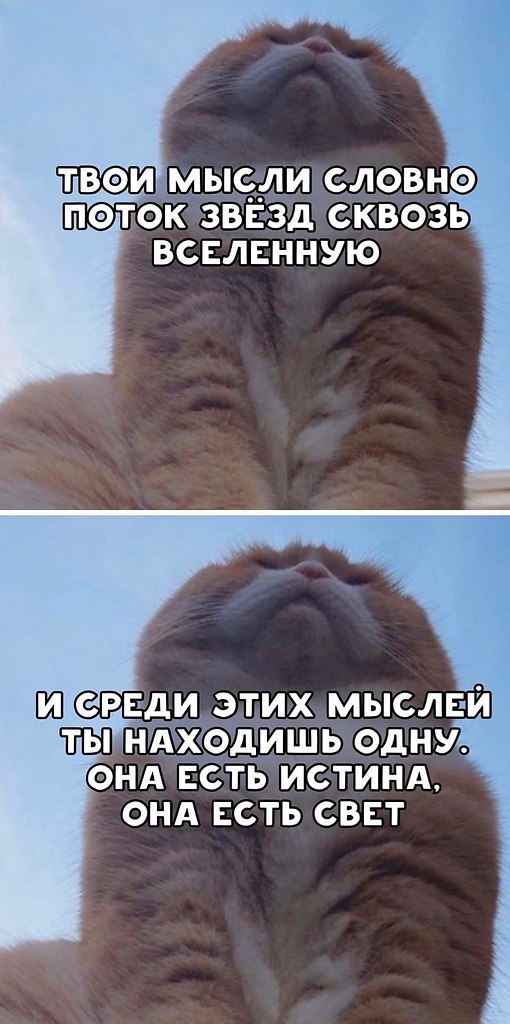   .    - 2