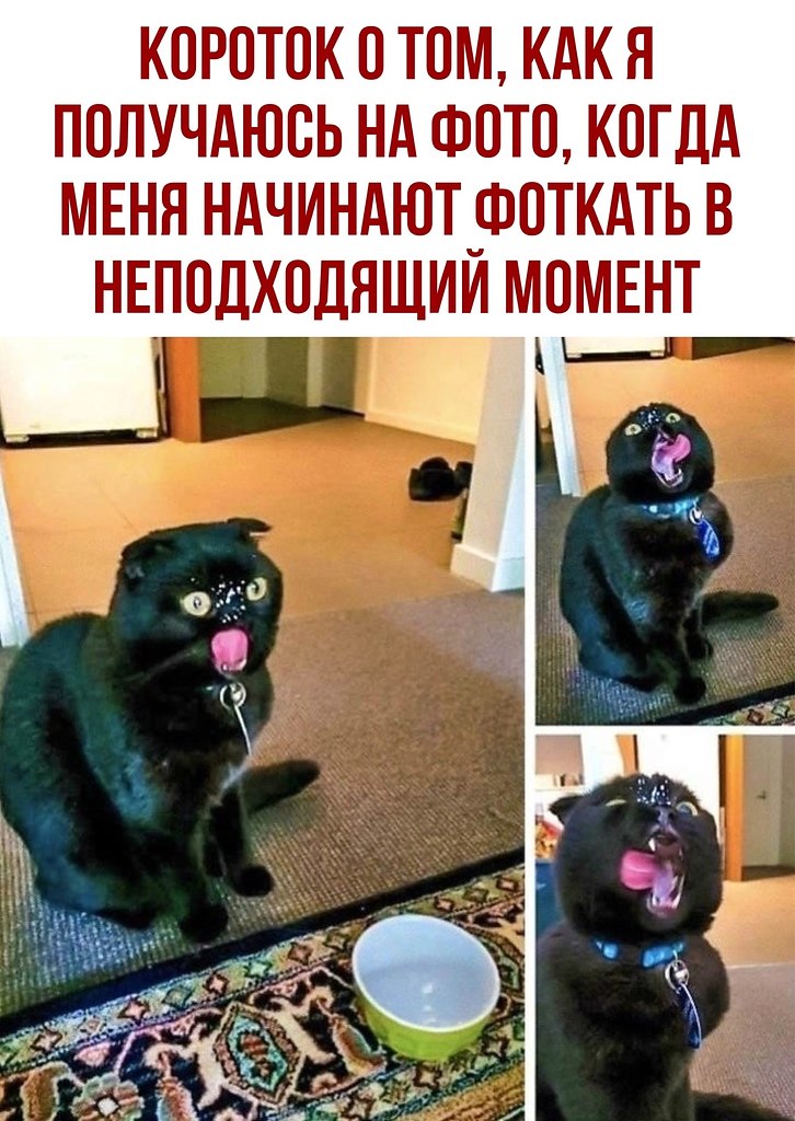  - 9  2020  18:41