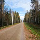 ���� �������, �����-���������, 65 ��� - ��������� 4 ������� 2020 � ������ �3 ������� 2020�